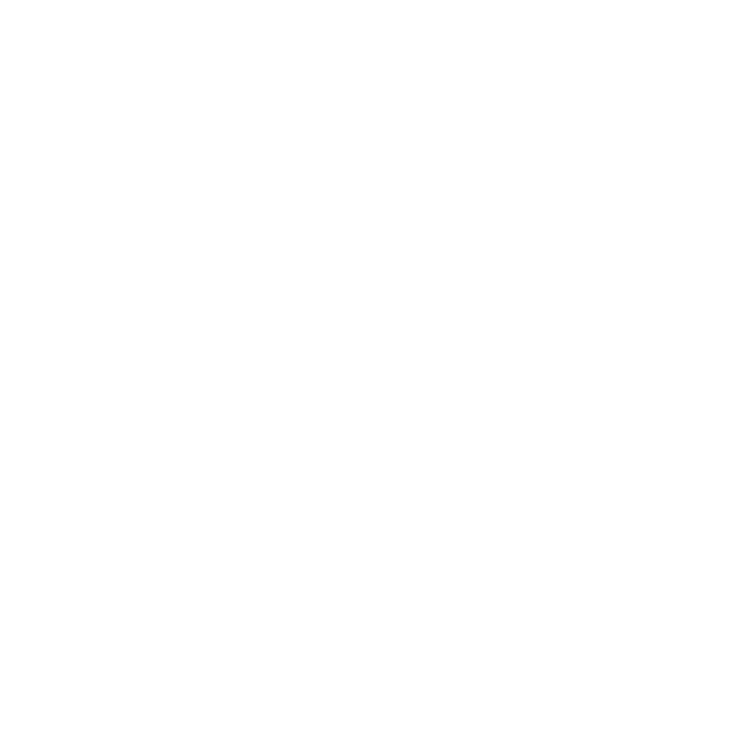 Logo FMN DEV
